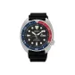 Black Dial