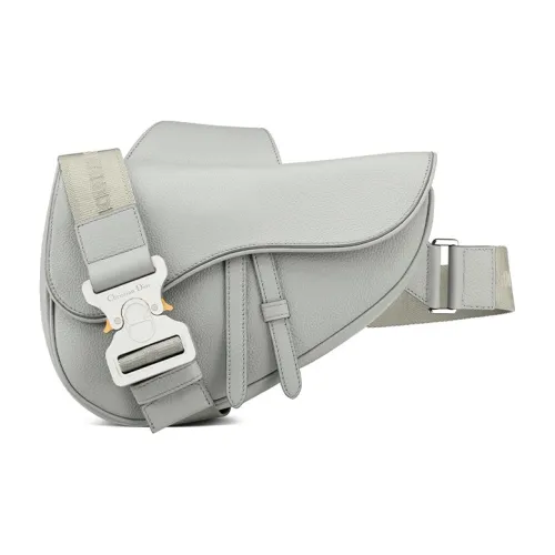 DIOR Saddle Crossbody Bags