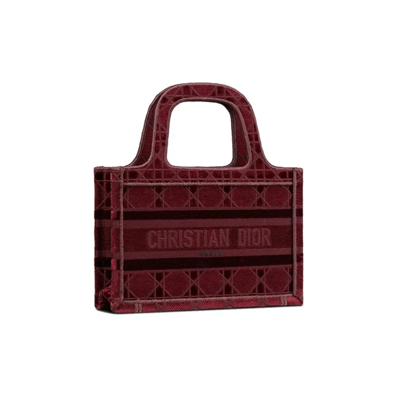 DIOR BookTote Handbags-2