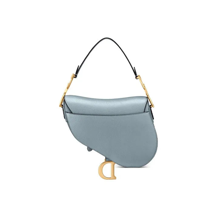 DIOR Saddle Handbags-2