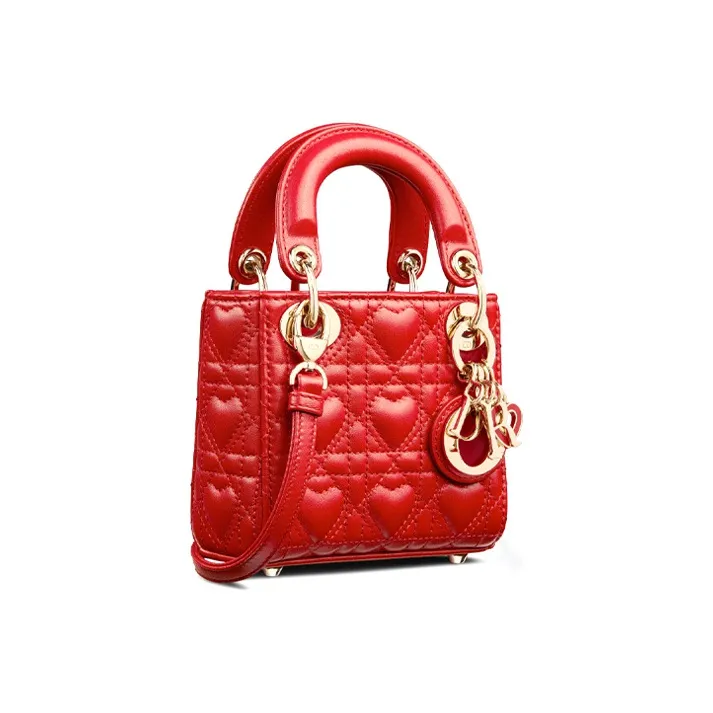 DIOR Lady DIOR Handbags-2