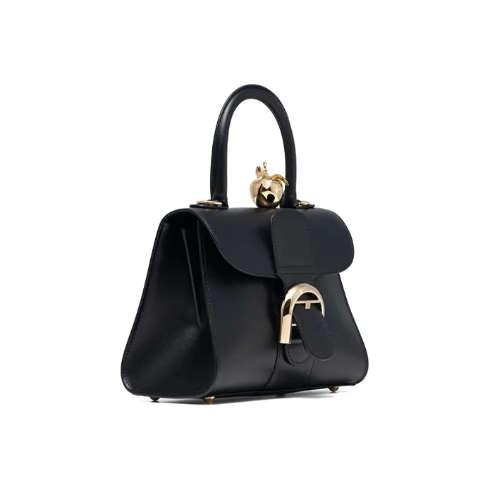 Delvaux Brillant Handbags-1