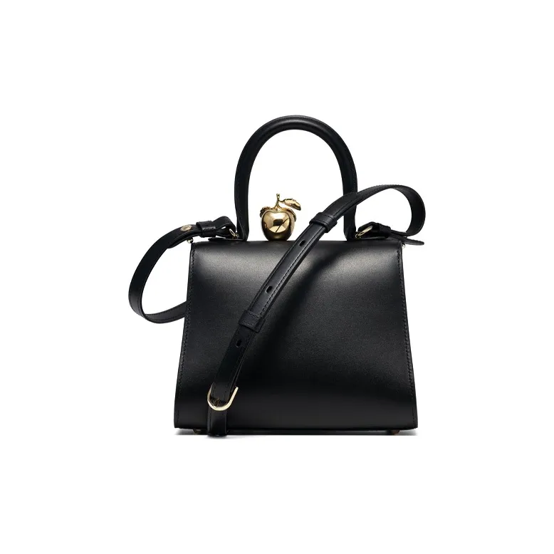 Delvaux Brillant Handbags-2