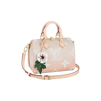 LOUIS VUITTON Speedy Bandouliere Gradient Pastel 25 Mist Gray