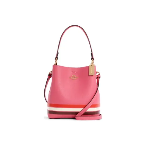 COACH Town Leather Hand Bag Shoulder Bag Hand Bag Bucket Bag Handbag Small Size Women's Pink