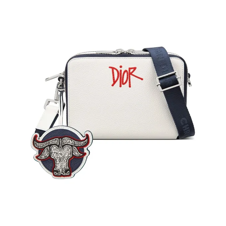 DIOR Grained Calfskin Clutches Shoulder Bags Men's White-1