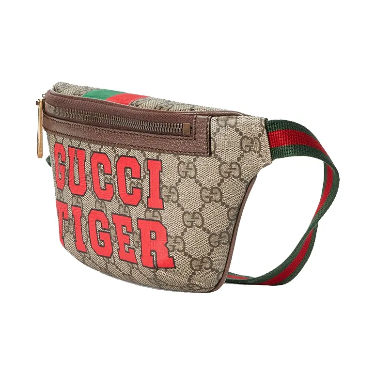 GUCCI Canvas Sling Bag Fanny Pack Regular Men's Ebony/Brown-1