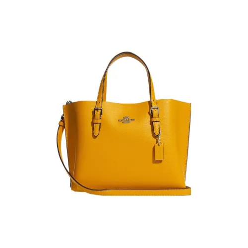 Reebok Pride flight bag