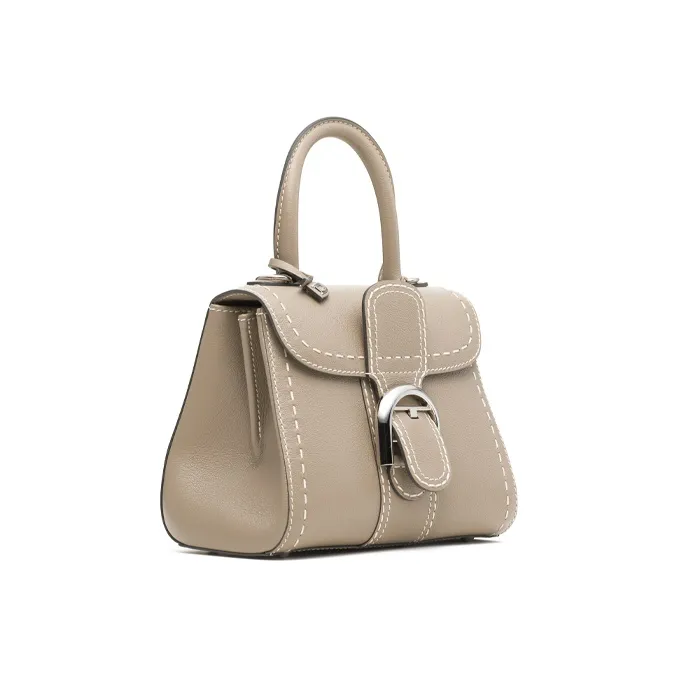 Delvau Brillant Calfskin Handbag, Crossbody Bag, Shoulder Bag Mini Women's Dove Gray-1