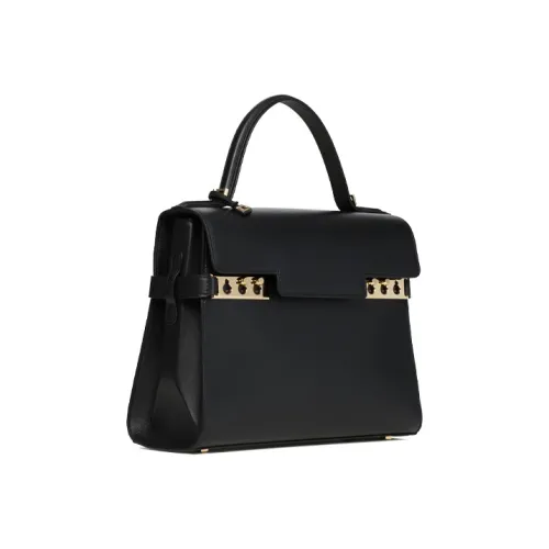 Delvaux Tempête Handbags