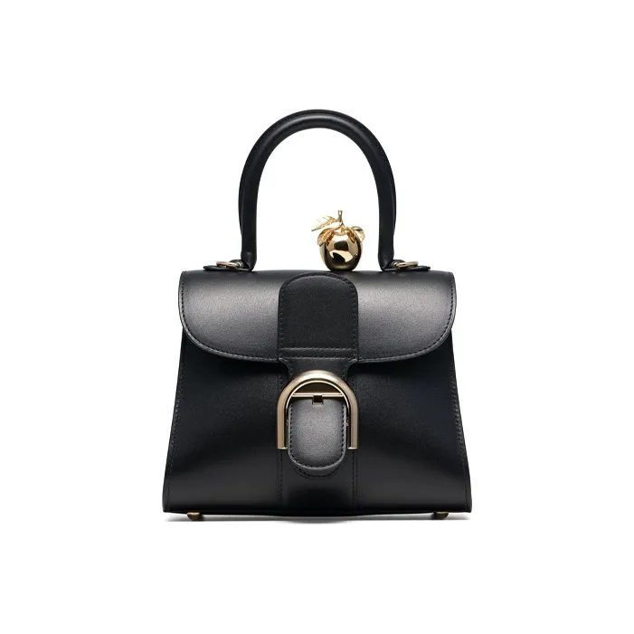 Delvaux Brillant Handbags-0