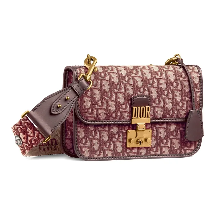 DIOR Addict Shoulder Bags-1