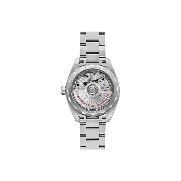 OMEGA Seamaster Aqua Terra 220.10.34.20.02.002-1