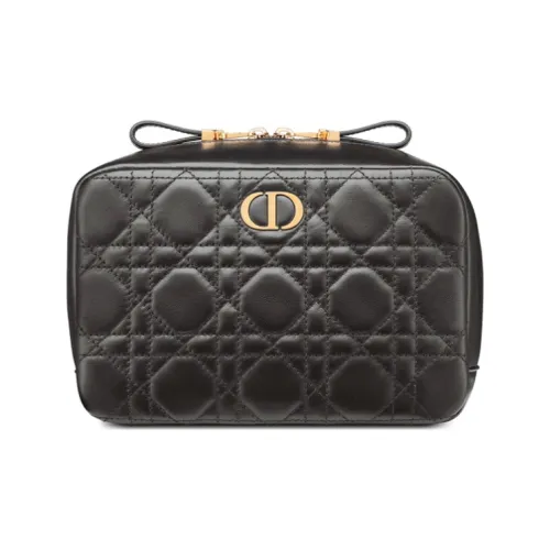 DIOR Caro Series Makeup Bags