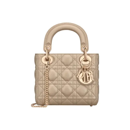 Lady DIOR Handbags