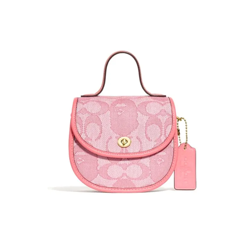 Bape Black X COACH Handbags-0