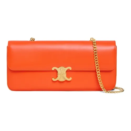 celebs with Celine Luggage Totes