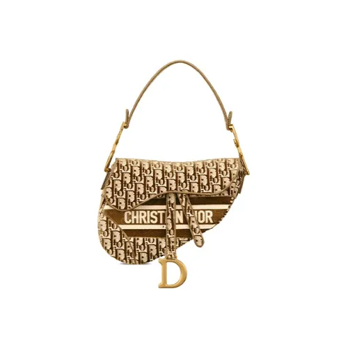 DIOR Saddle Shoulder Bags