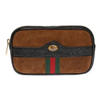 GUCCI Ophidia Fanny Packs