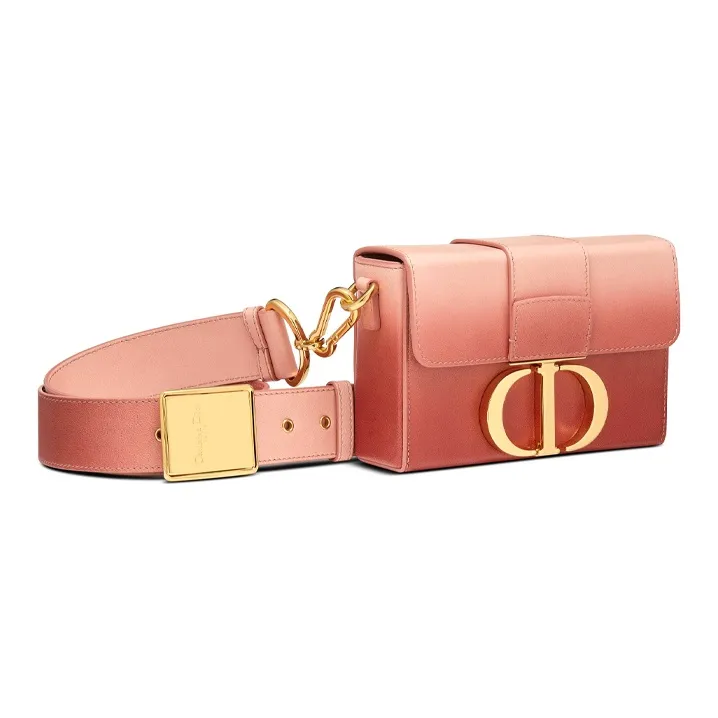 DIOR 30 Montaigne Crossbody Bags-1