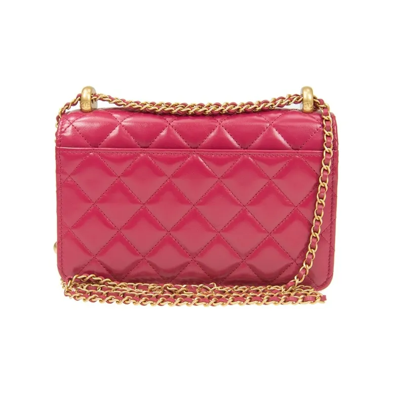 CHANEL WOC Calfskin & Metal Coin Purse Crossbody Bag Women's Pink-2
