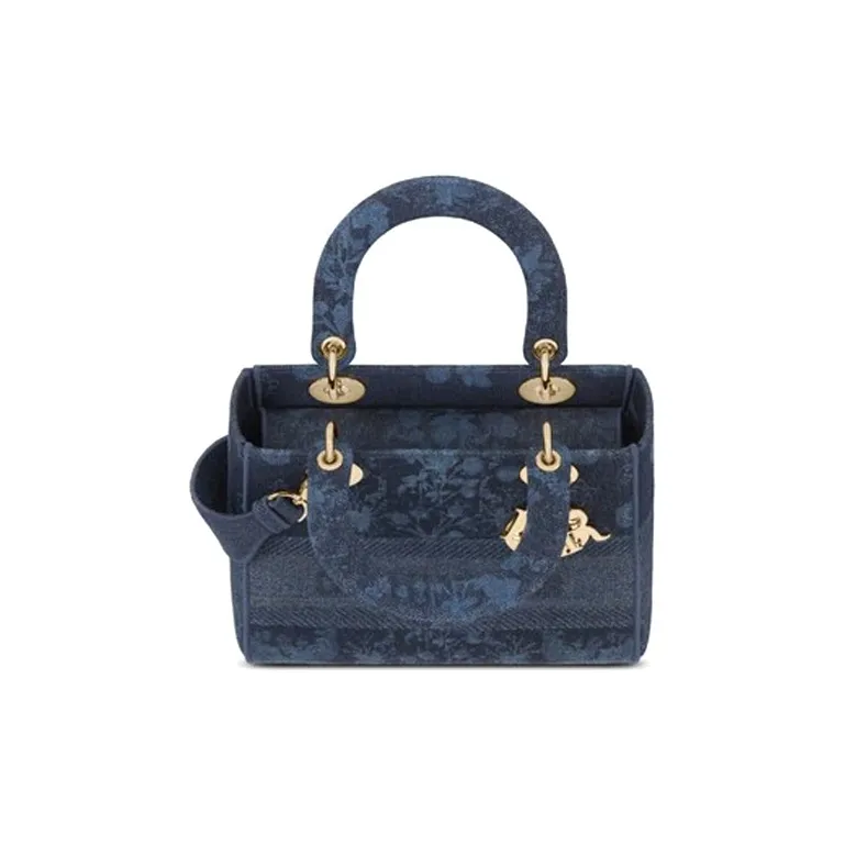 DIOR Lady D Lite Handbags-3