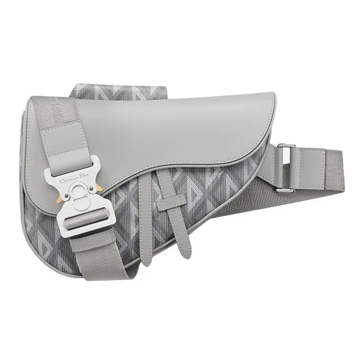 DIOR Saddle Sling Bags-0