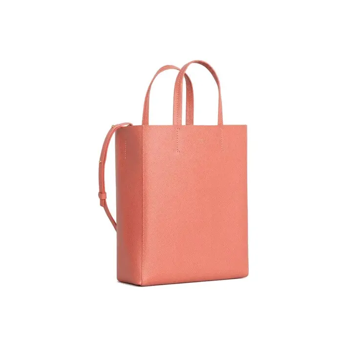 CELINE Grained Calfskin Bucket Bags Shoulder Bag Crossbody Bag Handbag Small Size Women's Pink Orange-1