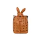 Bag+Dust Bag