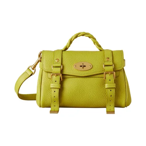 Mulberry Alexa Handbags