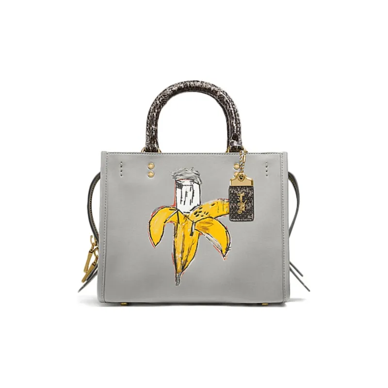 COACH Basquiat Collaboration Rogue Leather With Snake Skin Handbag Shoulder Bag Medium Size Women's Gray-0