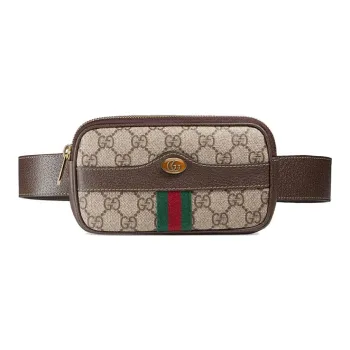 GUCCI Ophidia Fanny Packs