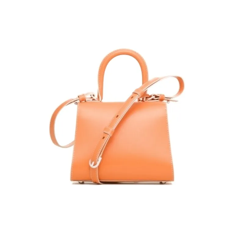 Delvaux Brillant Handbags-2
