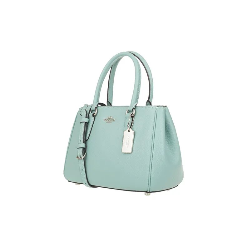 COACH Surrey Handbags-1