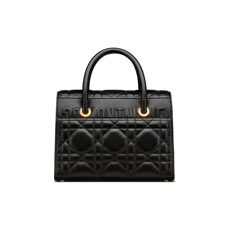 DIOR 30 Montaigne Handbags-2