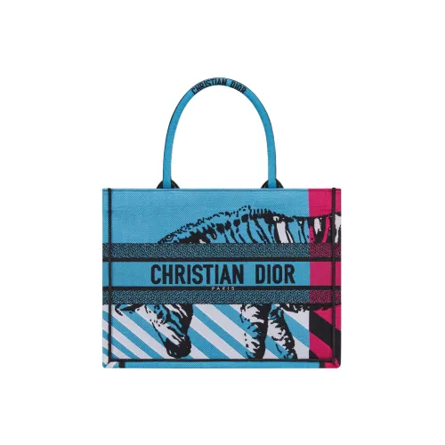 DIOR BookTote Handbags