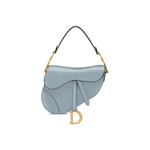 DIOR Saddle Handbags