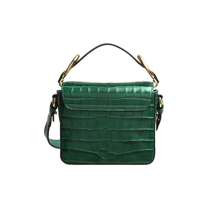 Chloé Bags Handbags-1