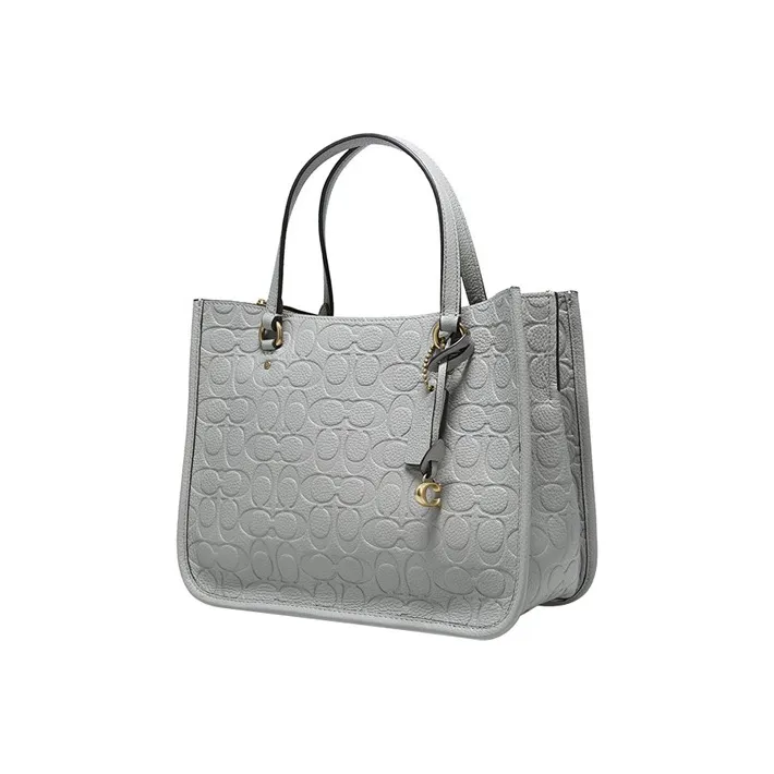 COACH Tyler Grained Calfskin One Shoulder Crossbody Bag, Crossbody Handbag Large Size Women's Gray-1