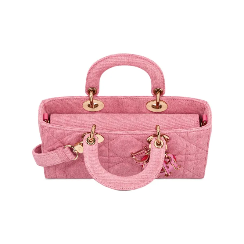 DIOR Handbags-2