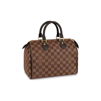 LOUIS VUITTON 2008 Speedy 25 Handbag