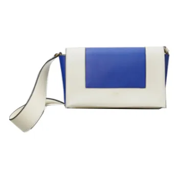CELINE Frame Crossbody Bags