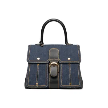 Delvaux Brillant Handbags