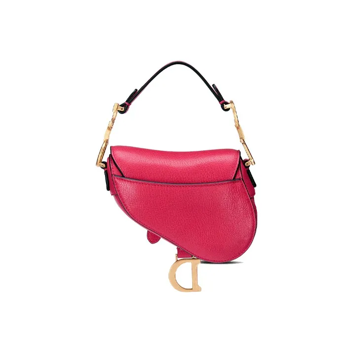 DIOR Saddle Handbags-4