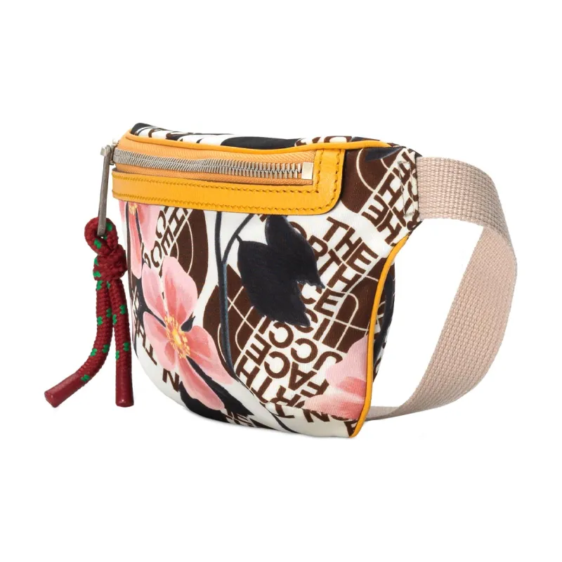 The North Face X GUCCI Fanny Packs-1