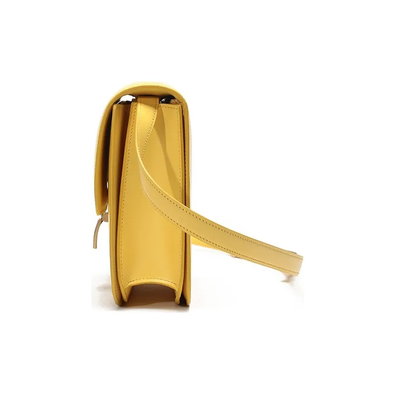 CELINE Classic Box Crossbody Bags-4