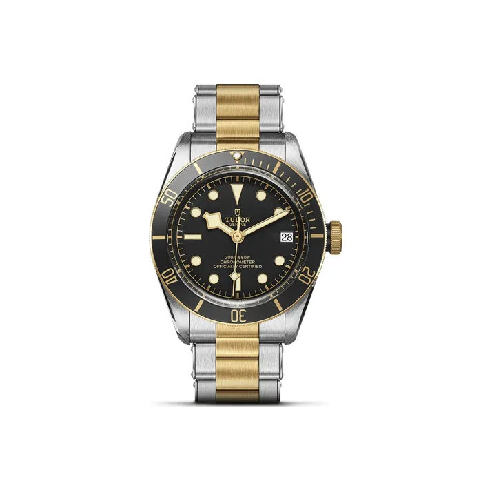 TUDOR 2024 Unworn Black Bay S&G 41mm-0