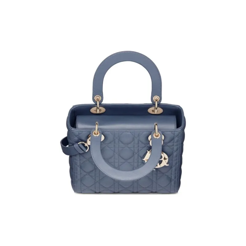 DIOR Lady DIOR Clutches-2