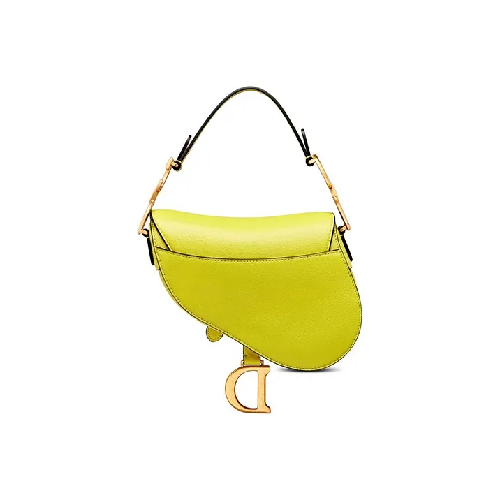 DIOR Sheepskin Saddle Bag Handbag, Shoulder Bag Women's Green Yellow-2