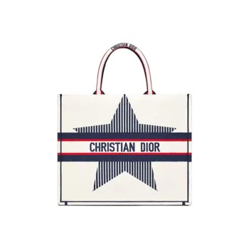 DIOR BookTote Handbags